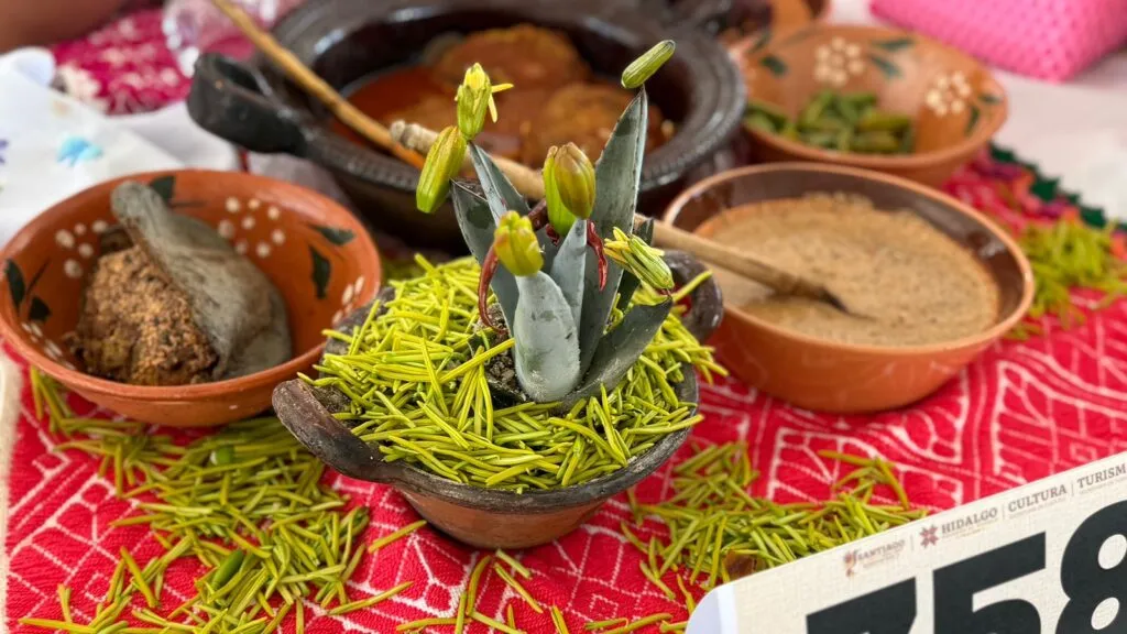 ¿Qué requisitos deben cumplir las cocineras tradicionales en Hidalgo? Estos son los requisitos