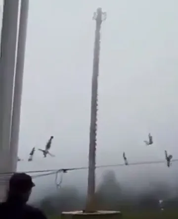 VOLADOR