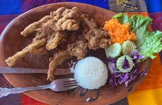 Ancas de rana en Tepeapulco buscan regresar al centro de la mesa