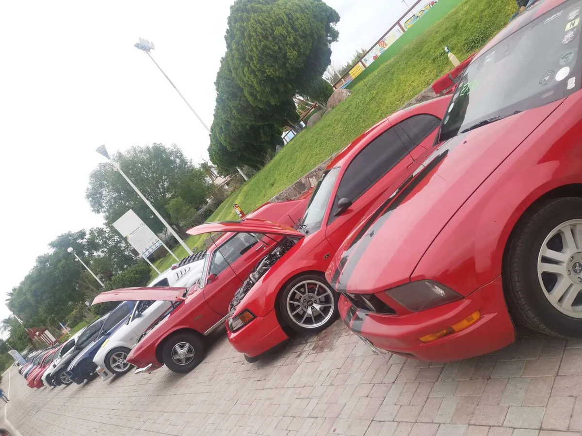 Exhibirán más de 200 Mustang GRATIS en el Ben Gurión: fecha y actividades