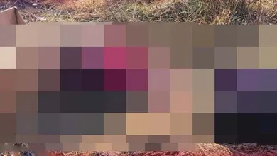 Encuentran restos humanos en caja de cartón y maleta en Zempoala