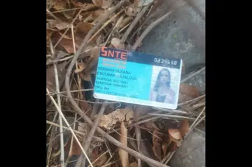 Debanhi Escobar: hallan su credencial en condominios que ya habían sido cateados