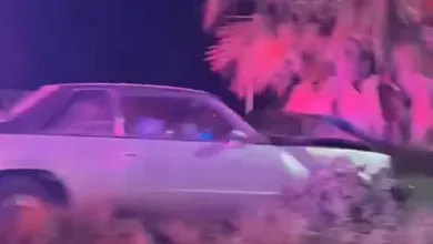Vehículo accidentado tras impactarse contra una palmera en la carretera Pachuca–Actopan.