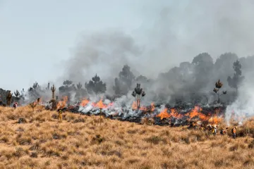 Incendio en Huichapan