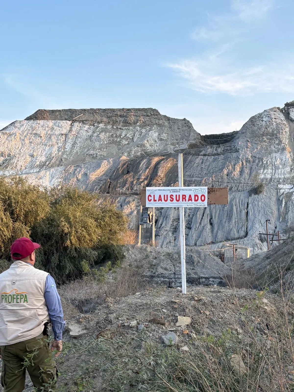 ¿Por qué Profepa clausuró a SAGO Import Export? Te contamos