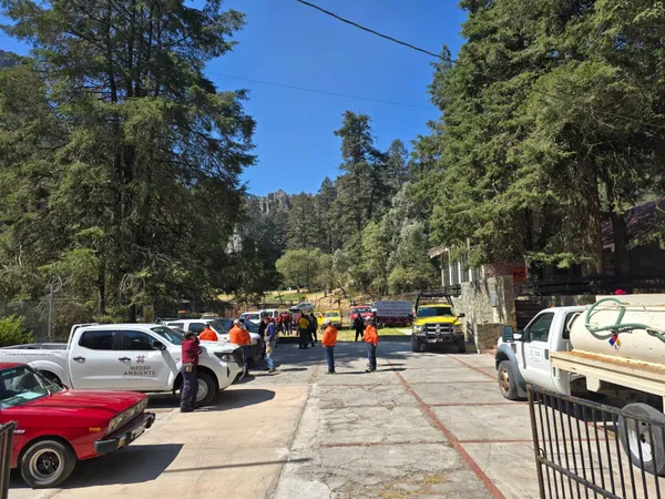 Atención visitantes: el Parque Nacional El Chico permanecerá cerrado por trabajos de saneamiento y seguridad.