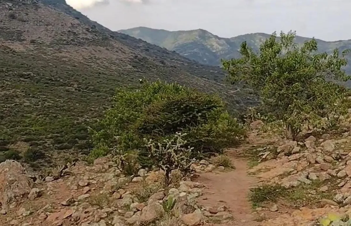 Invitan al primer Trail en Tepeitic, Mixquiahuala