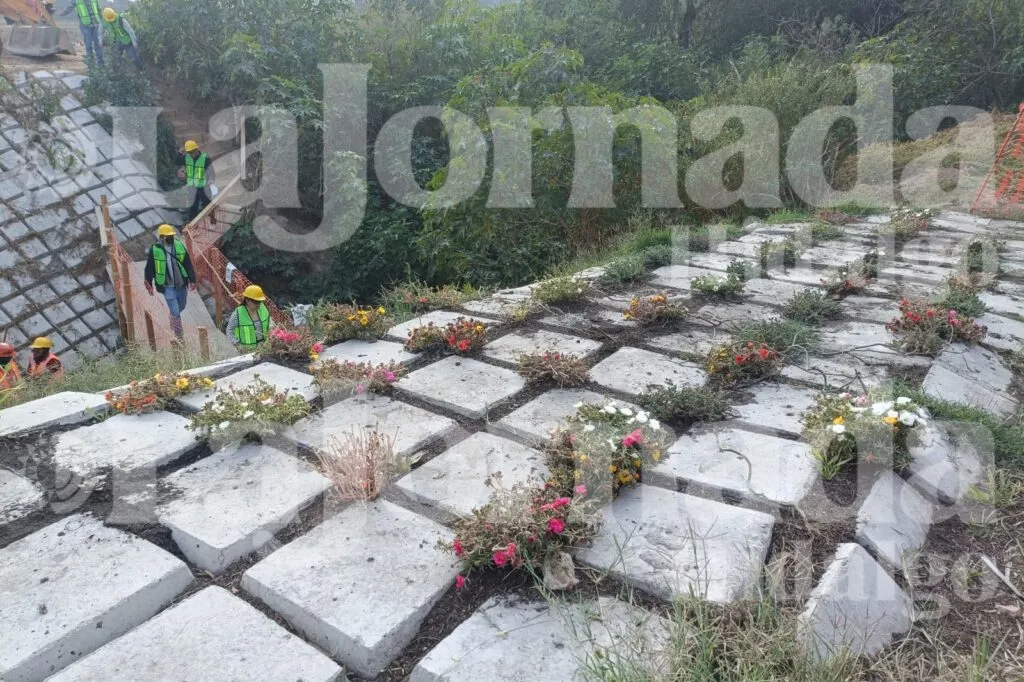 Revegetación del río Tula incluirá árboles, herbáceas y especies endémicas: ¿Cuándo empieza?