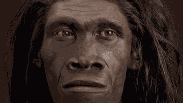 Homo erectus se adaptó a los duros desiertos hace 1.2 millones de años