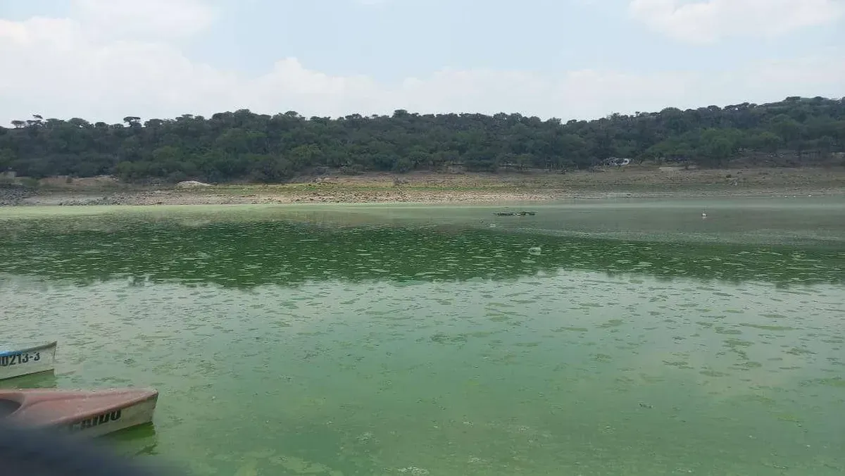 Presa Requena Tepeji