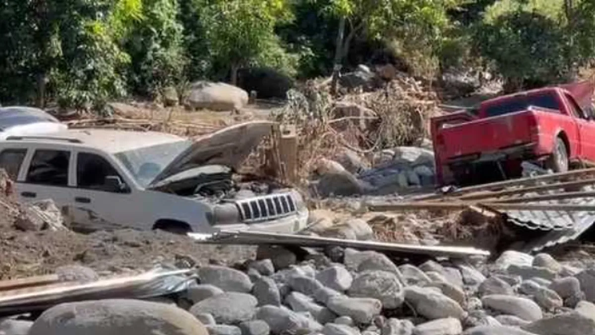 Se perdieron cosechas de frijol, maíz, cacahuate y árboles frutales de mango, limón, naranja, aguacate y plátano.