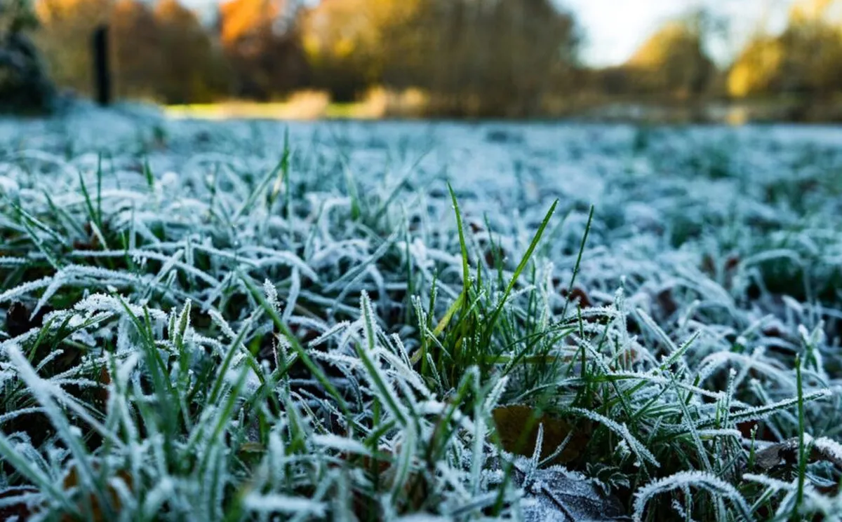 ¡Abrígate! Será un fin de semana con bajas temperaturas