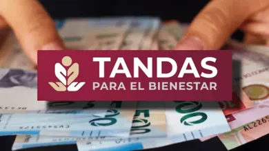Financiamiento, emprendimiento y apoyo directo: así funciona Tandas Mujer Bienestar 2026.