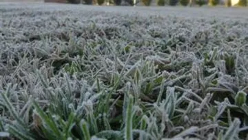 bajas temperaturas en Hidalgo