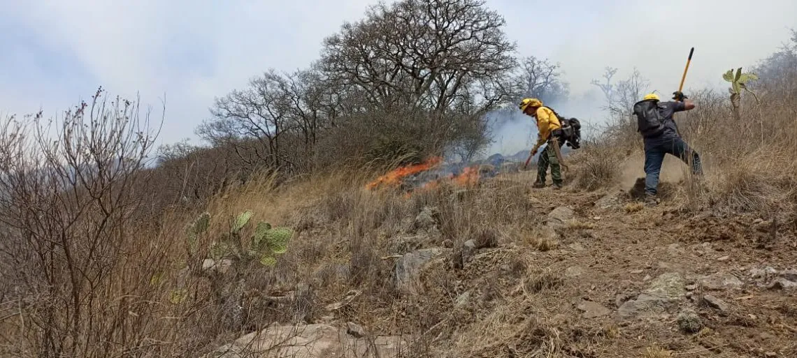 Combaten incendio del cerro de la Campana en Tepeji del Río