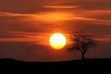 Solsticio de Verano 2025: fecha, hora y qué significa este fenómeno