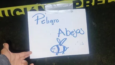 Protección Civil retira y reubica colmenas de abejas en San Salvador.