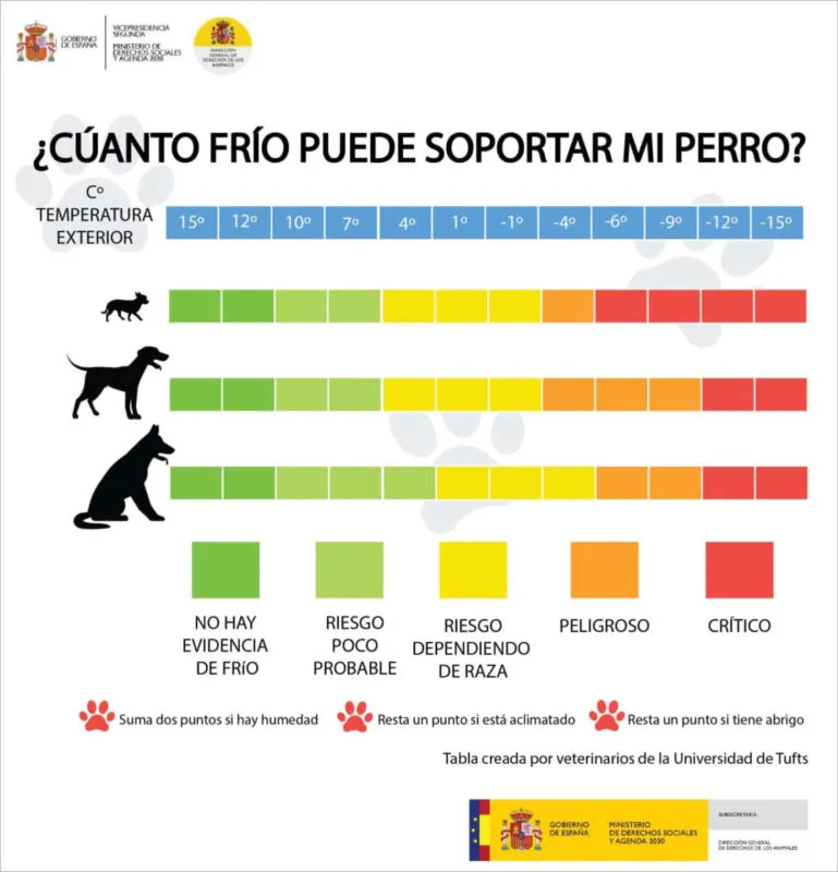 ¿A qué temperatura tienen frío los perros?