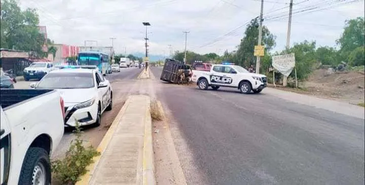 Choque en carretera Ixmiquilpan-Progreso: vaca sale proyectada tras colisión