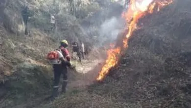 Incendio forestal