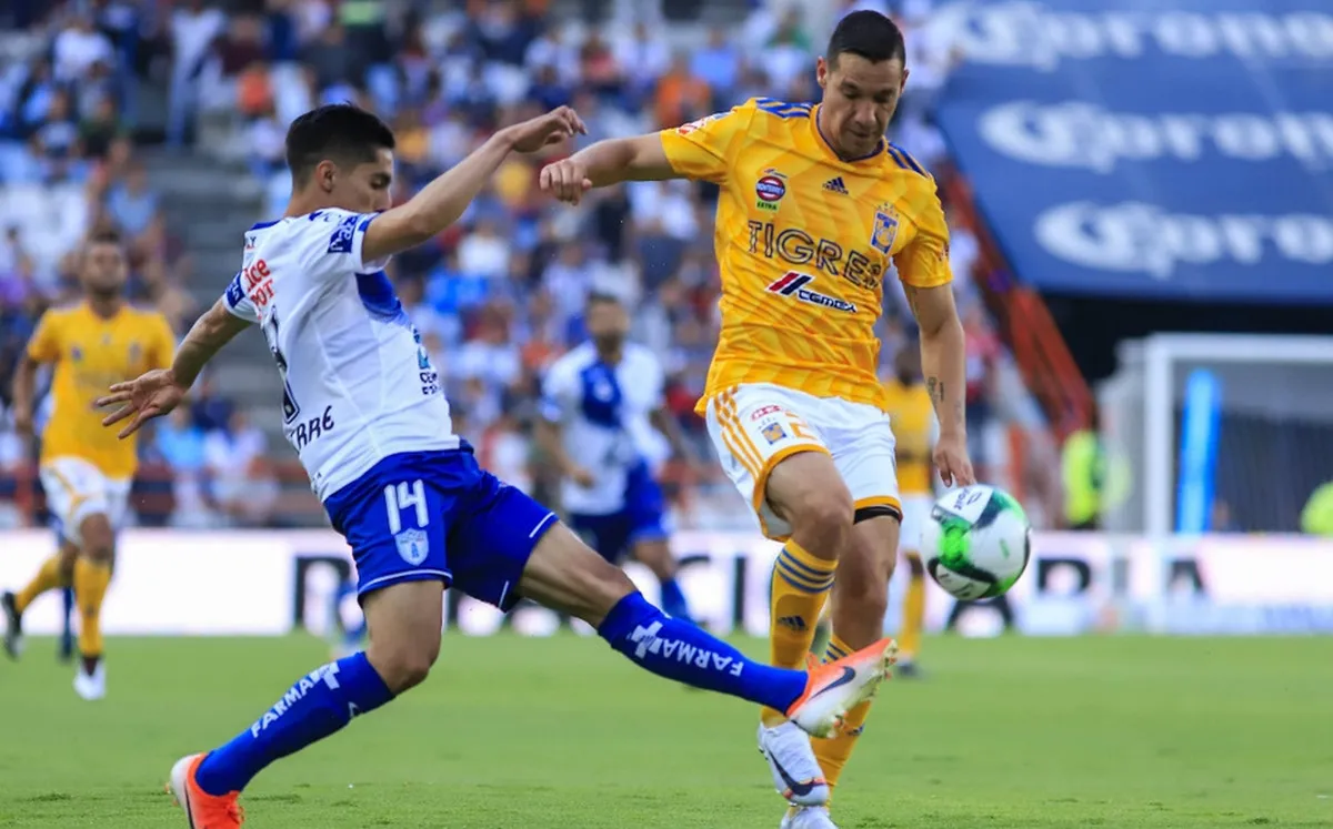 Tigres vs Pachuca: horario y dónde ver en vivo por TV