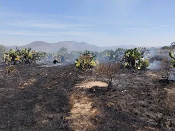 Actopan: controlan incendio forestal; consumió 40 hectáreas