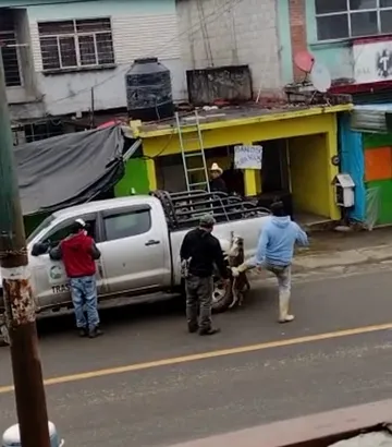 Denuncian otro caso de maltrato animal, ahora en Chapulhuacán