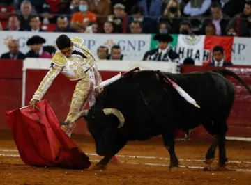 Insiste Morena en más foros y consulta ciudadana para definir el futuro de las corridas de toros en Hidalgo