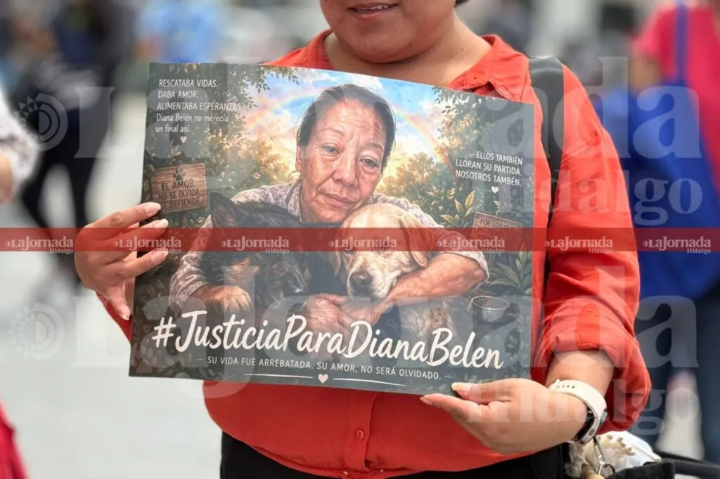 Activistas marchan en Pachuca por derechos de animales y seguridad