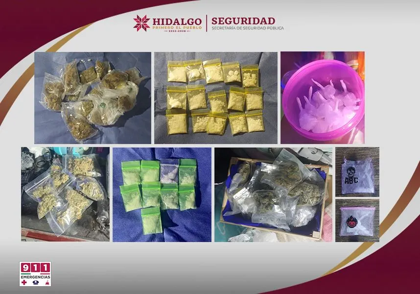 ¡Rescatan 29 perritos en condiciones críticas! Así fue su liberación