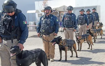 Unidad Canina