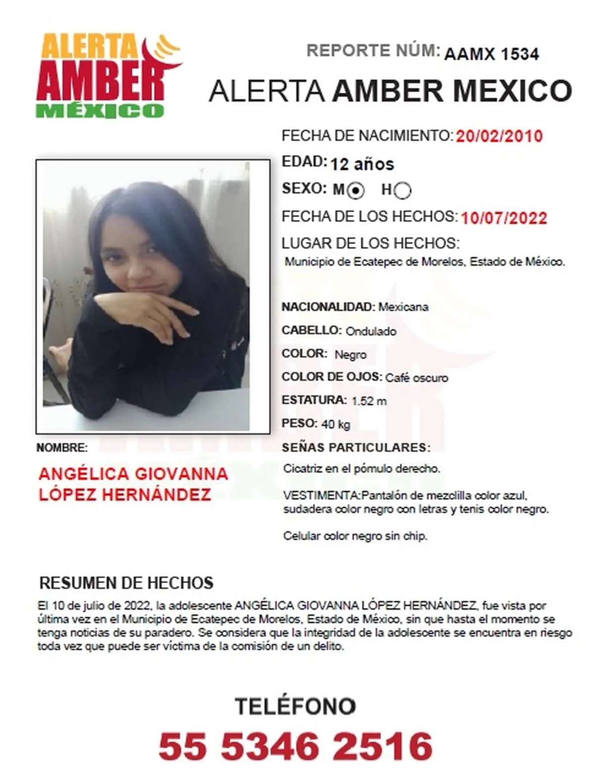 Investigan rapto de menor en Edomex; sospechan fue contactada por un videojuego