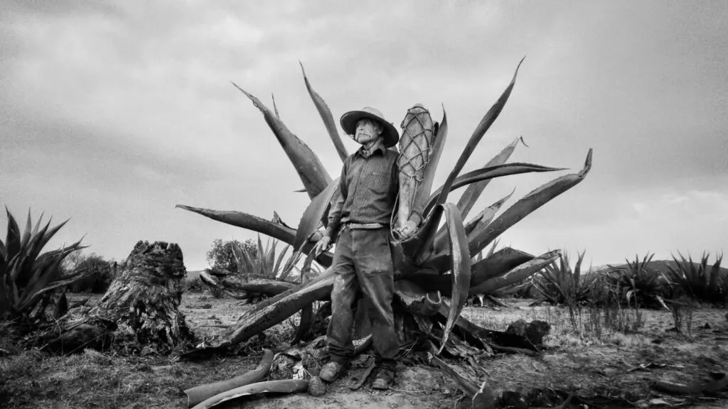 ¡Orgullo hidalguense! David Eurosa Luna destaca a nivel nacional con documental sobre el pulque
