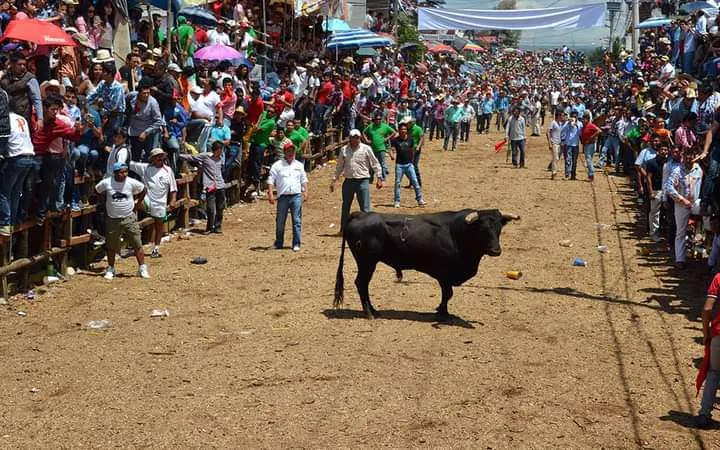 A pesar de críticas, habrá Santiagada; alcaldesa asegura que “es totalmente familiar”
