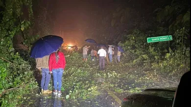 Varias comunidades quedaron incomunicadas tras los derrumbes provocados por las lluvias en la región Otomí-Tepehua.