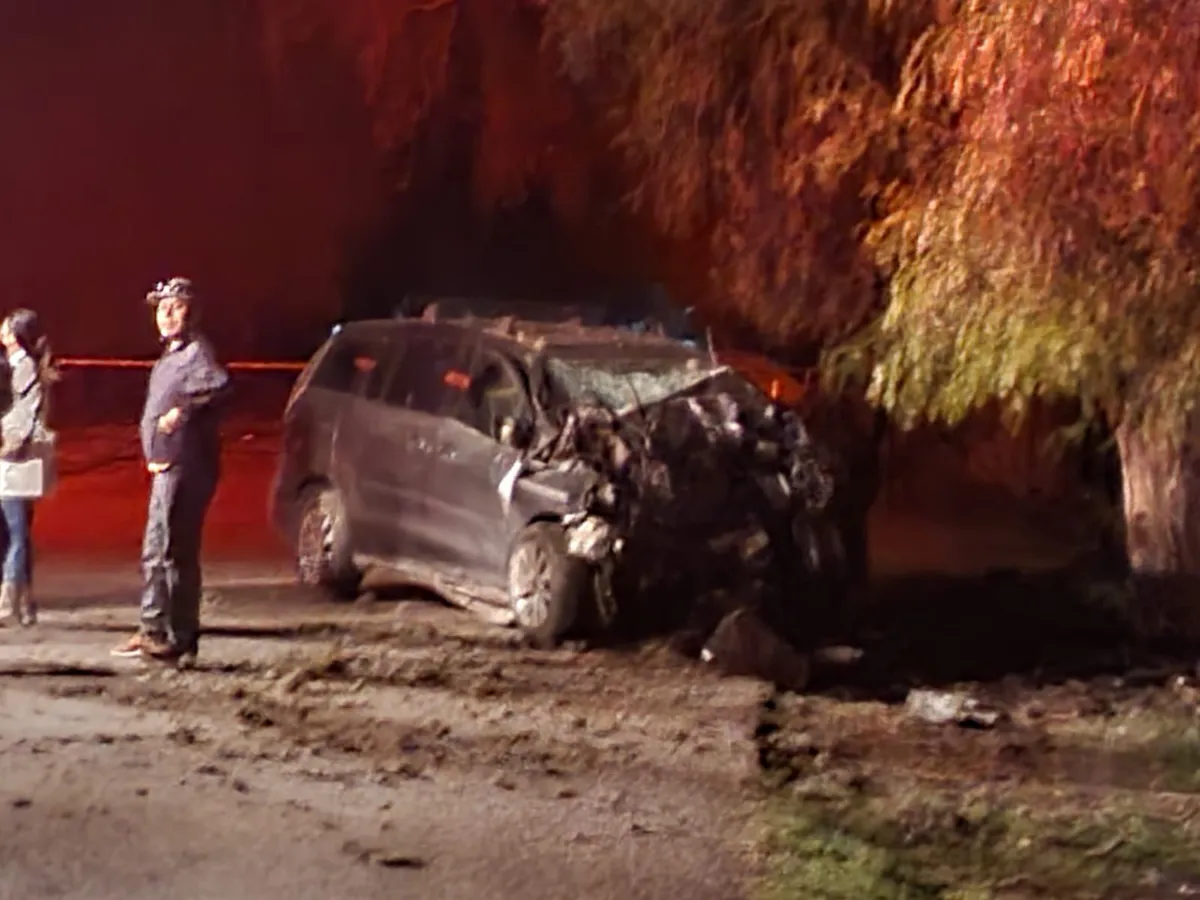 Tula de Allende: un hombre sin vida tras impactarse contra árbol