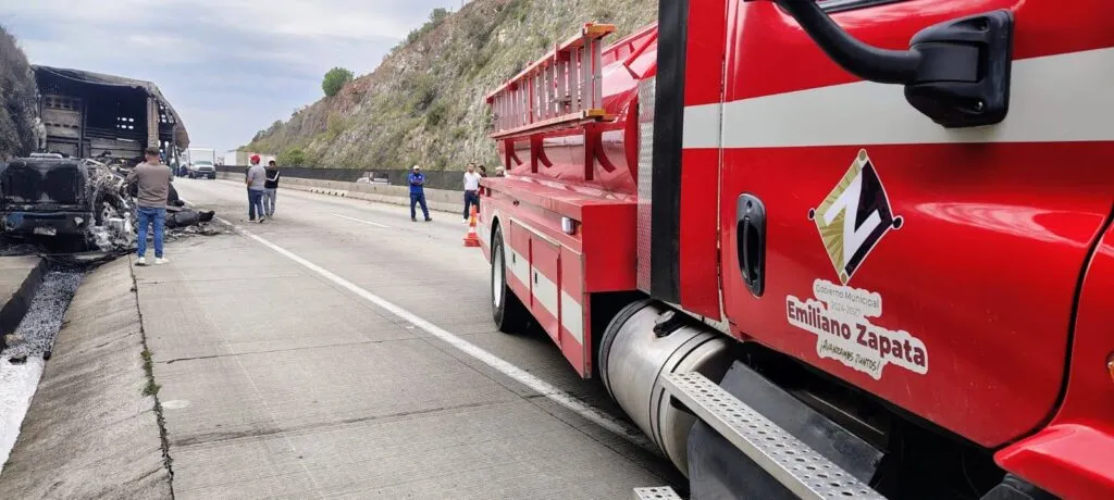 ¡Carne asada! Tráiler con ganado se incendia en el Arco Norte; animales murieron calcinados