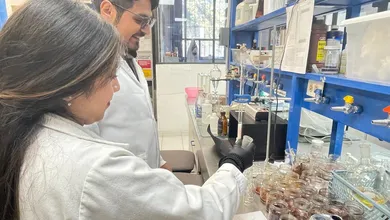 UAEH investiga pesticidas naturales para combatir moscos en la presa Endhó