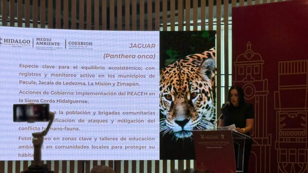 Hidalgo fortalece conservación ambiental con inversión de 17.3 mdp