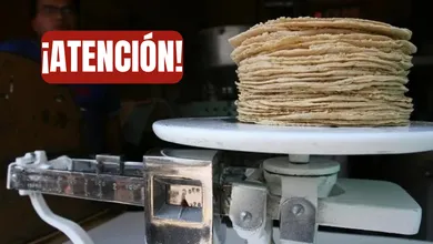 La tortilla todavía no sube, pero sus costos sí están bajo presión. Esto dicen los industriales sobre lo que viene.