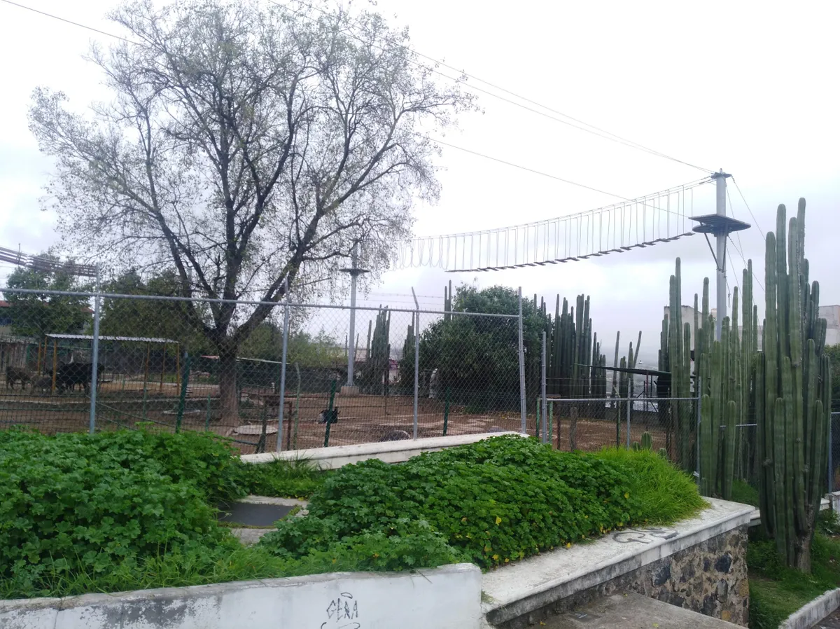 Anuncian plan de adhesión de parque al zoológico de Tulancingo sin monto definido de inversión