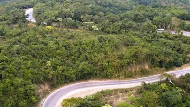 Avanza la carretera Huejutla-Tamazunchale: 30 km intervenidos este año con 10 puentes y modernización completa.