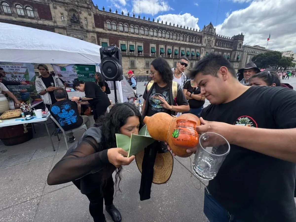 Productores de maguey marcharán en la CDMX contra parque fotovoltaico en Hidalgo