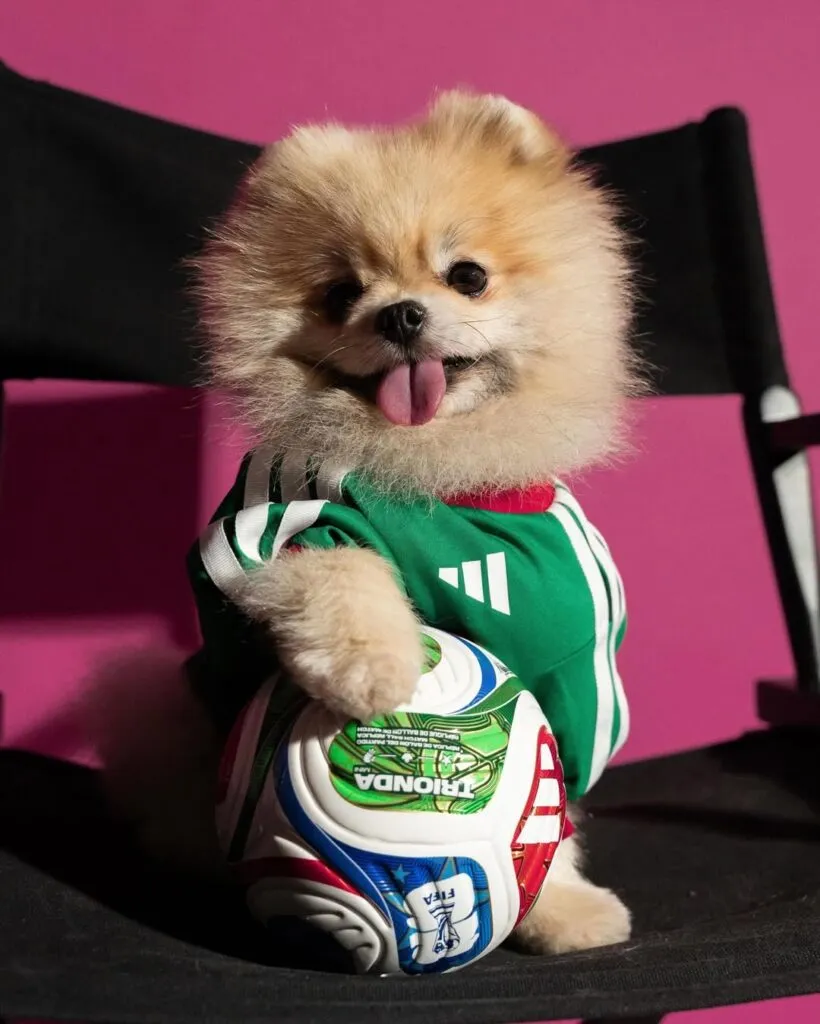 Adidas lanza jerseys para mascotas inspirados en el Mundial 2026