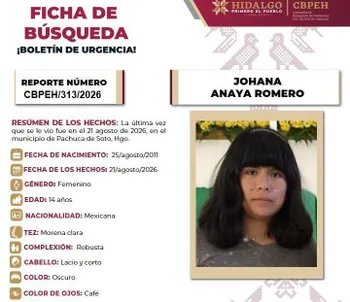 Ficha de Búsqueda Johana Anaya Romero