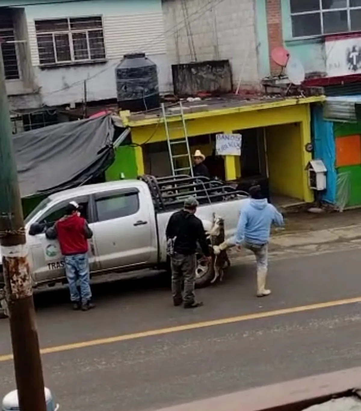 Denuncian otro caso de maltrato animal, ahora en Chapulhuacán