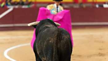 Corrida de toros