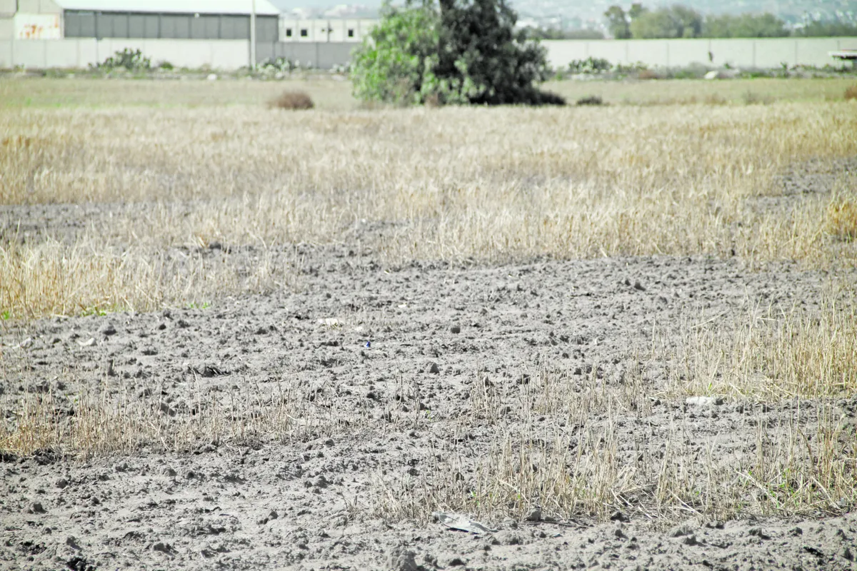 Sequía en Hidalgo: 66 municipios enfrentan escasez de agua