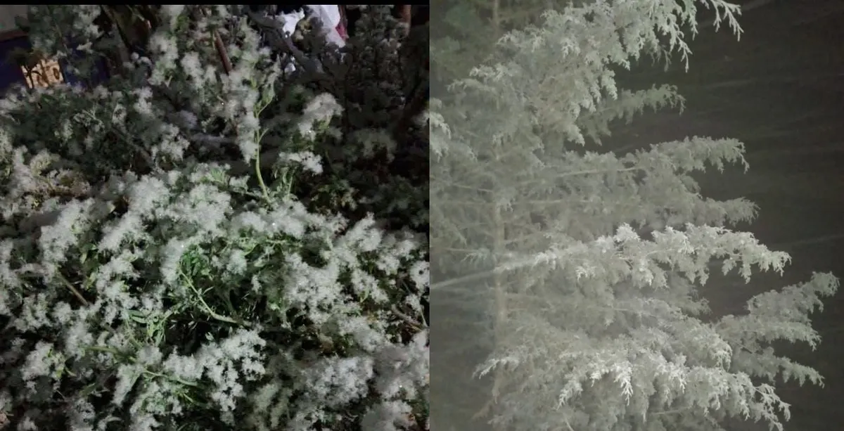 Caída de Agua Nieve en Zimapán: Protección Civil alerta sobre descenso de temperatura