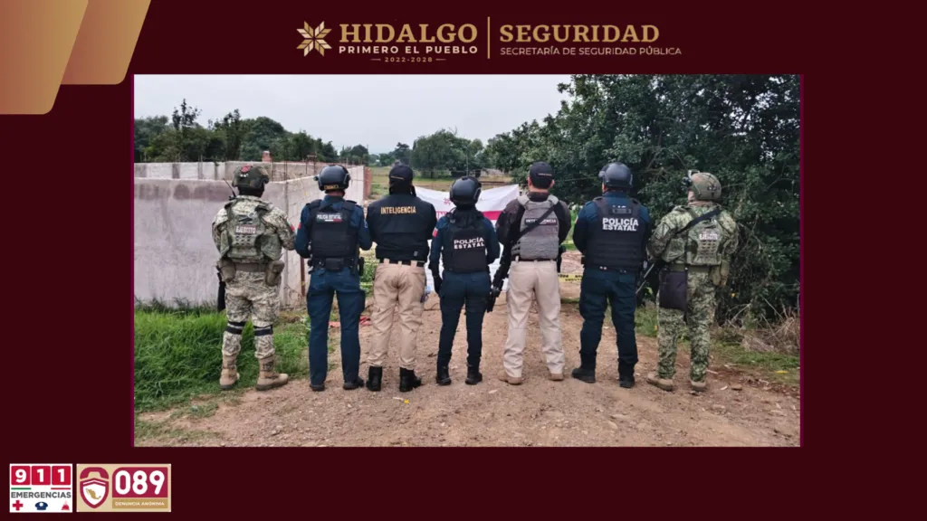 ¡Un botín vehicular! Aseguran predio con vehículos robados, autopartes y droga en Tulancingo